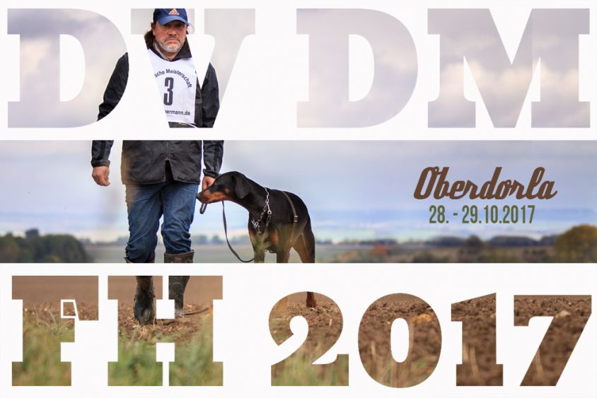 DV DM FH 2017 in Oberdorla