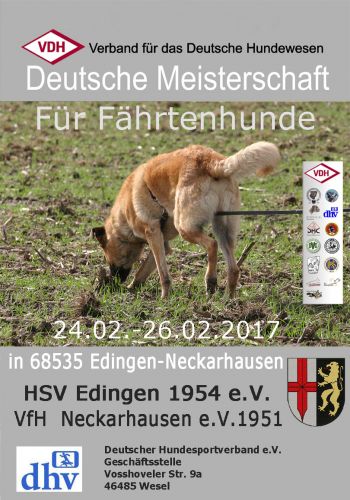 VDH DM FH 2017 in Edingen-Neckershausen