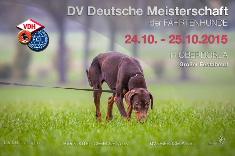 DV Deutsche Meisterschaft IPO FH 2015